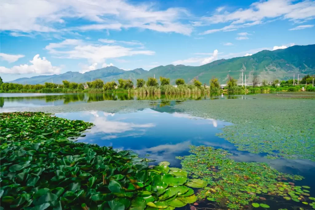 تصفیه طبیعی فاضلاب چیست و چه مزایایی دارد؟