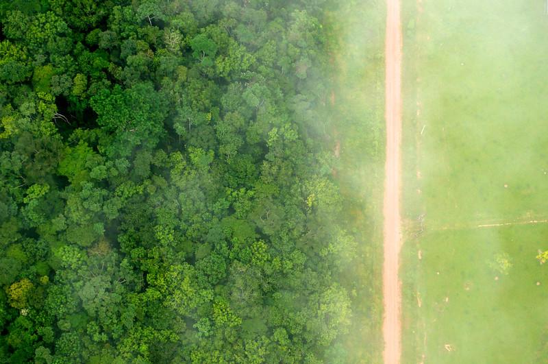 cifor-deforestation-brazil