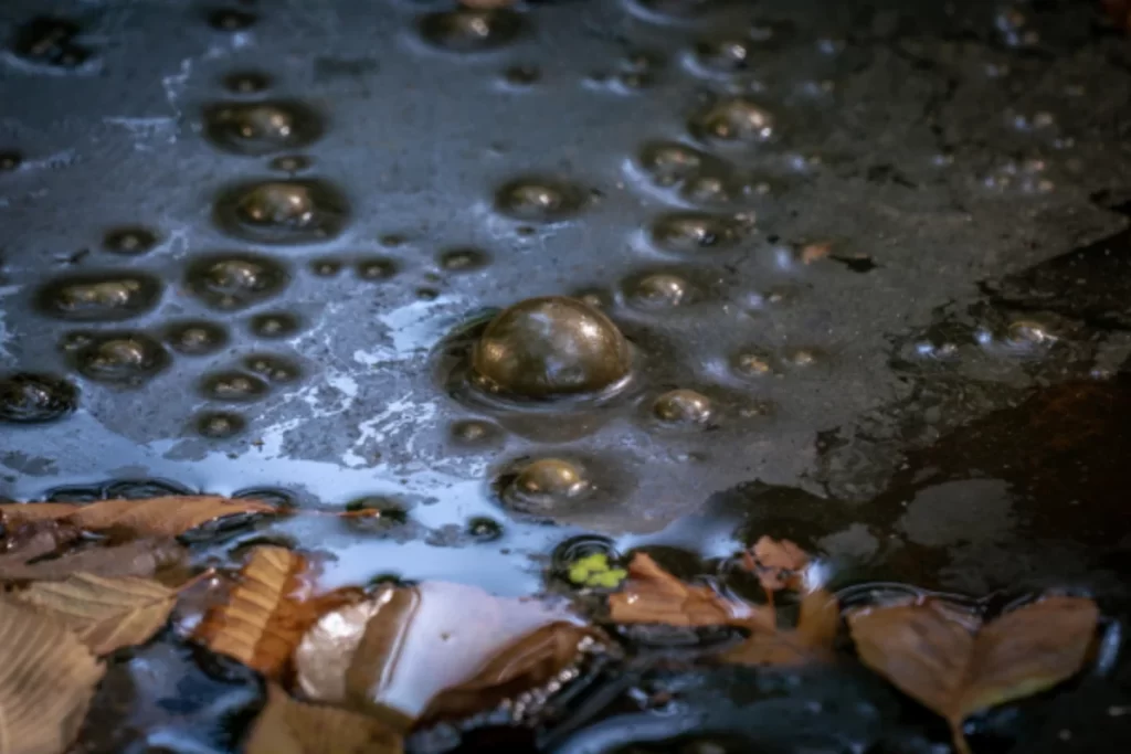 تصفیه لجن فاضلاب | مراحل و روش های مختلف