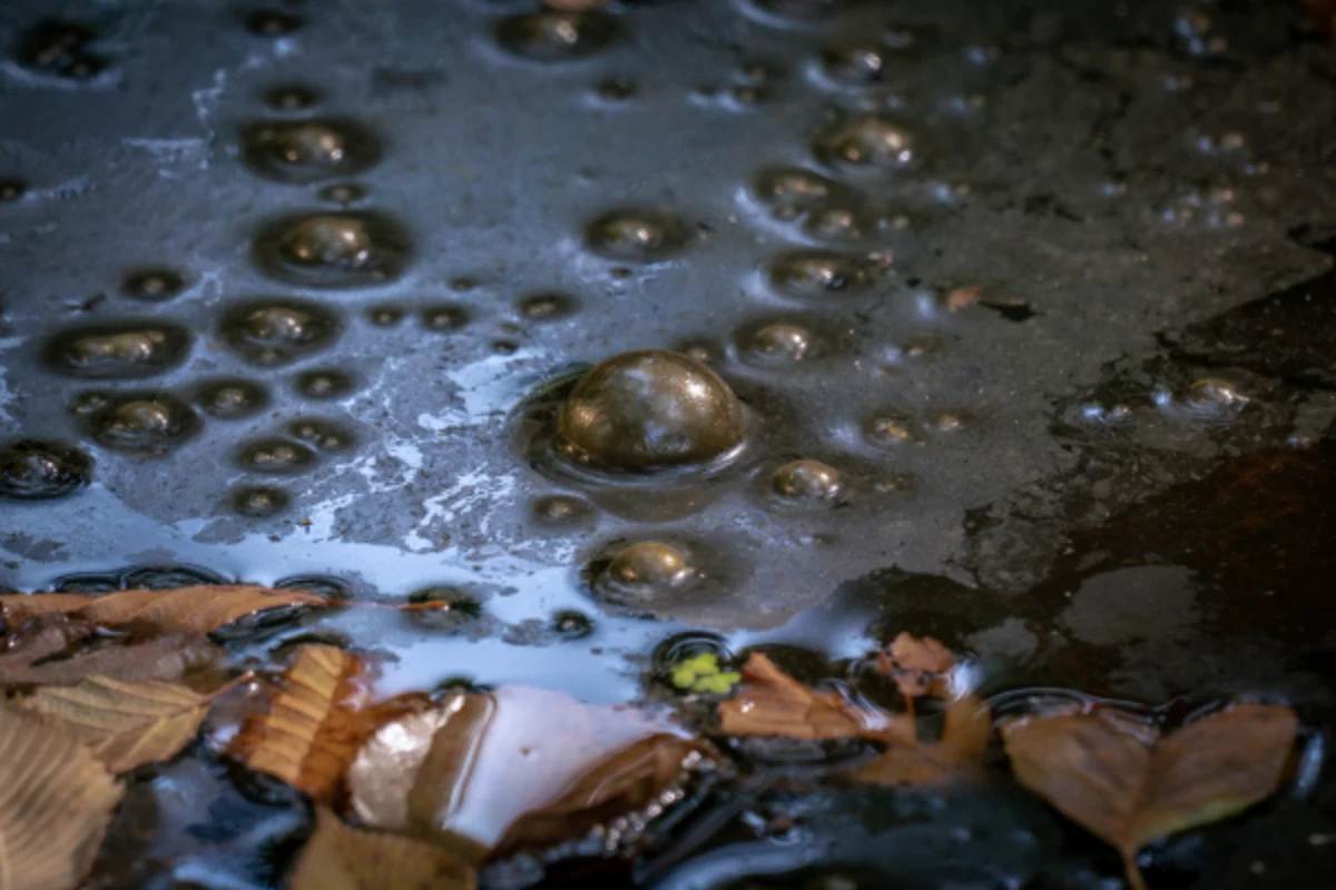 تصفیه لجن فاضلاب | مراحل و روش های مختلف