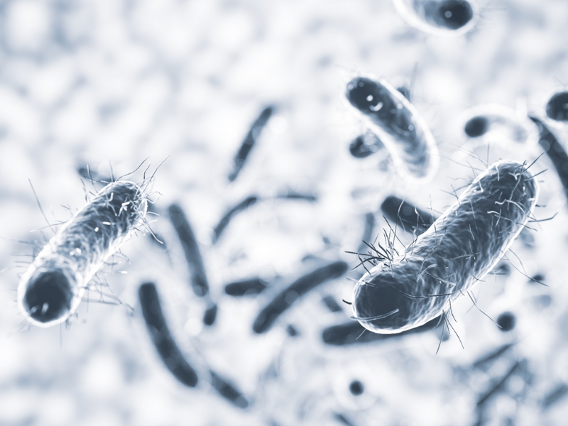 تصفیه بیولوژیکی فاضلاب | مزایا، کاربرد و فرآیند آن