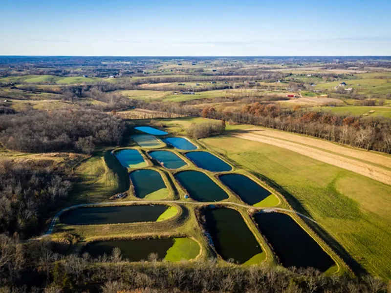 آشنایی با لاگون‌های تصفیه فاضلاب: سیستمی طبیعی برای آینده‌ای پاک