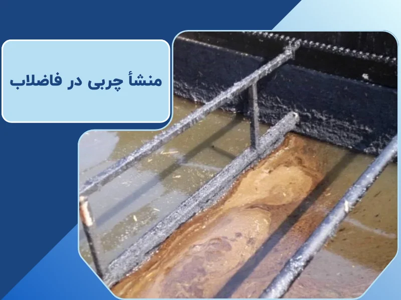 منشأ چربی در فاضلاب