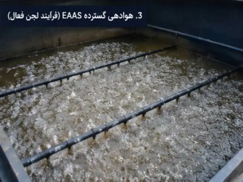 فرآیندهای رایج (لجن فعال با هوادهی گسترده)